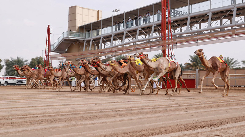 من منافسات يوم أمس.   من المصدر