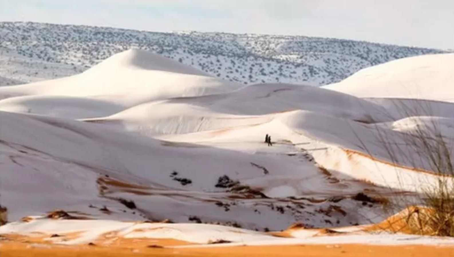 في هذه الصورة تظهر الثلوج في الصحراء الكبرى يناير 2018 بالقرب من مدينة عين الصفراء الجزائرية.
