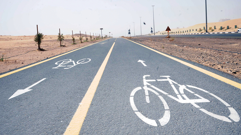 «طرق دبي» نفذت 463 كم من مسارات الدراجات الهوائية في مناطق الإمارة.   من المصدر