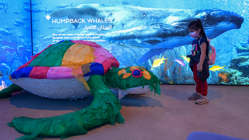 تصوير: باتريك كاستيلو