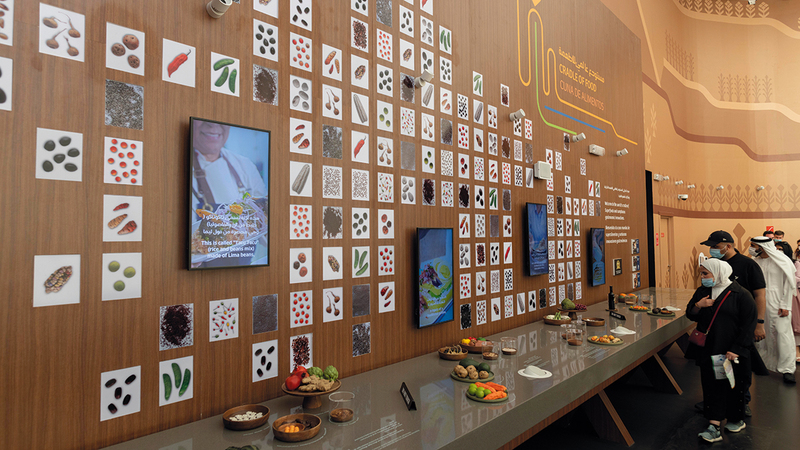 بيرو من أغنى بقاع الأرض تنوعاً.   من المصدر