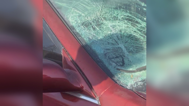 إحالة السائق المتهم إلى النيابة العامة بتهمة الدهس والهروب.   من المصدر