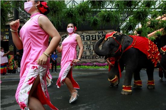 أزواج في تايلاند يوقعون عقد زواجهم على ظهر الأفيال في عيد الحب.. الصور عن وكالات