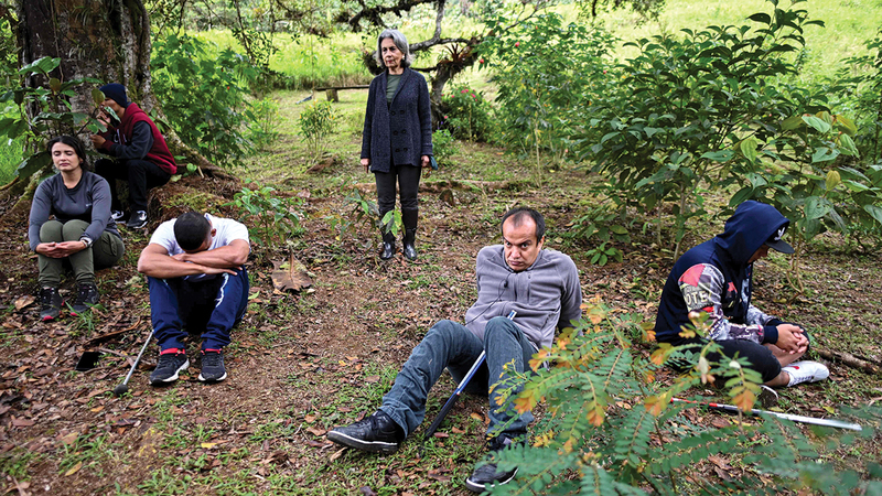 تعلّم كيفية التعرف إلى الطيور مهمّة ليست سهلة.   من المصدر