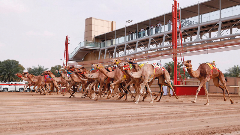 جوائز مالية قيّمة تنتظر أصحاب المراكز حتى الـ 10 في كل الأشواط.   من المصدر