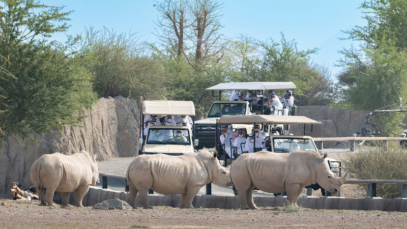 ����� ������� " ������ ���� image.jpg