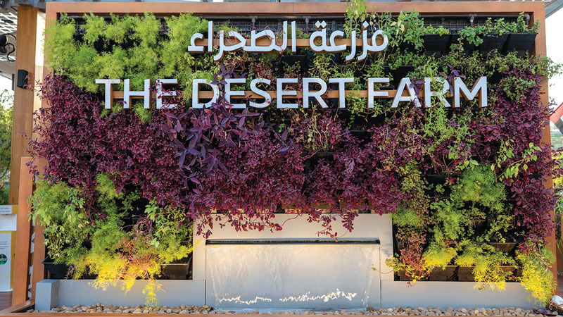 داينا بوميستر سلطت الضوء على مزرعة الصحراء في «إكسبو دبي».   من المصدر