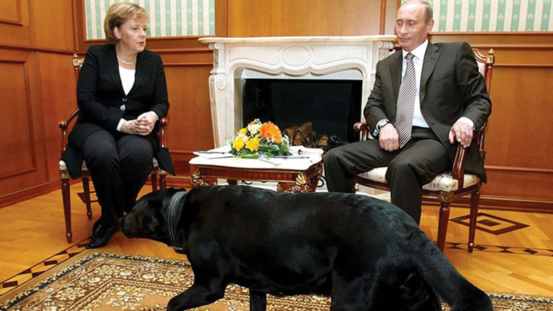 بوتين سمح لكلبه بالوجود رغم رهاب ميركل المعروف.   أرشيفية