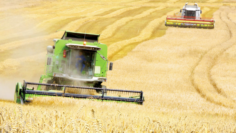 معظم دول العالم يعتمد على صادرات القمح الأوكراني.    من المصدر