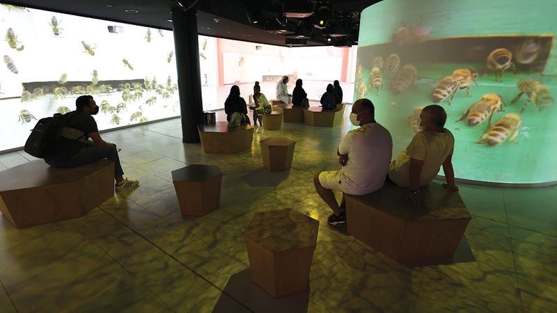 جناح سلوفينيا يسلط الضوء على تربية النحل.    من المصدر