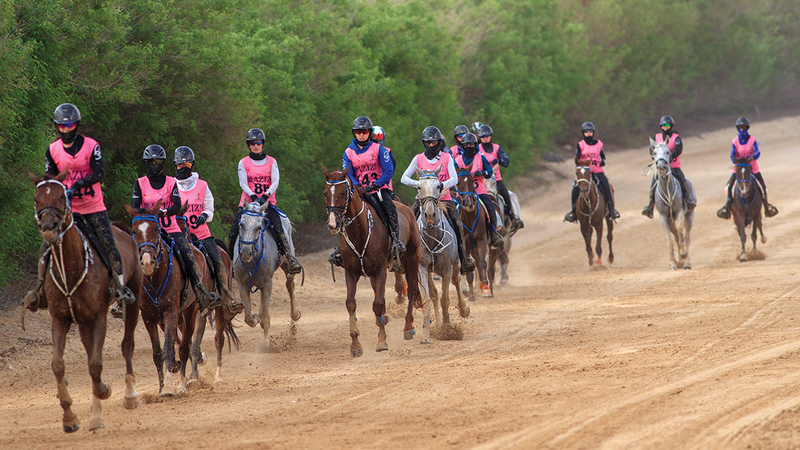 المهرجان أقيم لمسافة 119 كيلومتراً بمشاركة 89 فارسة.   الإمارات اليوم