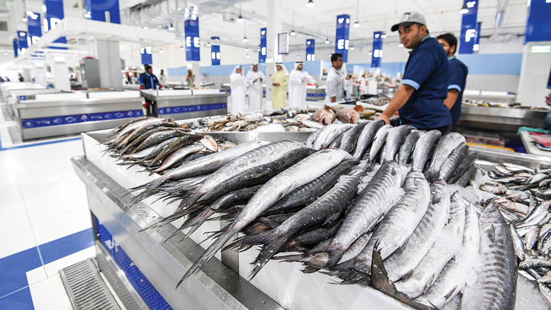 السماح للصيادين بالصيد بالشباك «التحويطة والحلاق » في الفترة من الأول من نوفمبر إلى 31 مايو مع مراعاة خصوصية كل إمارة.   تصوير: آشوك فيرما