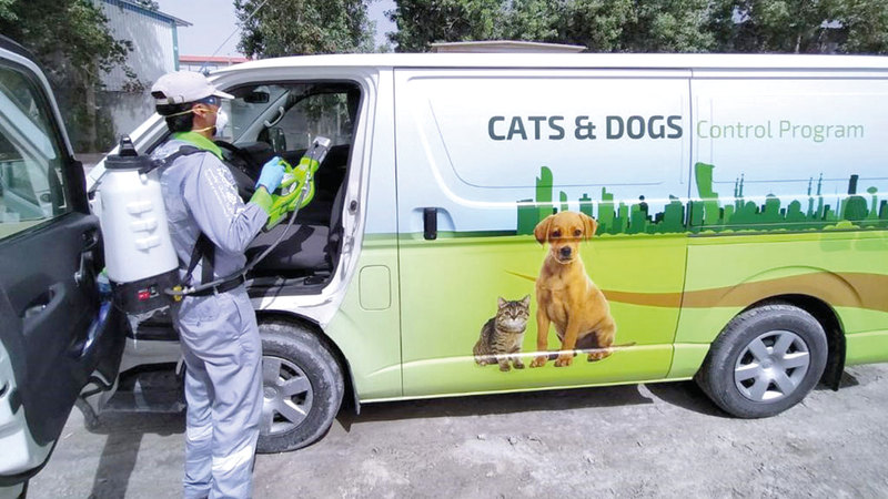 المركز دعا السكان إلى عدم إطلاق حيواناتهم من دون مرافق.   من المصدر