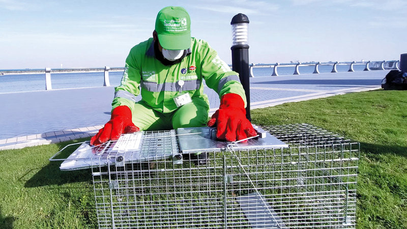 لمركز يحرص على الاهتمام بالتعامل مع البلاغات المتعلقة برصد الحيوانات السائبة.   من المصدر