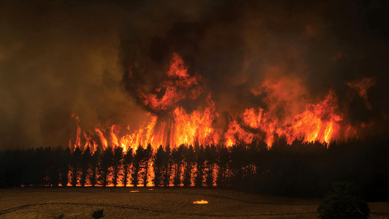 حرائق الغابات في أستراليا حادث يتكرر دائماً. عن «نيويورك تايمز»