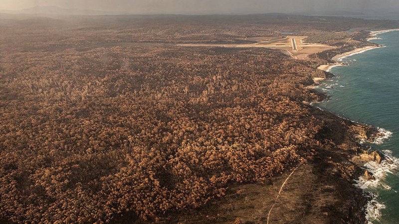 حرائق الغابات في أستراليا تقضي على الحياة البيئية.   عن «نيويورك تايمز»