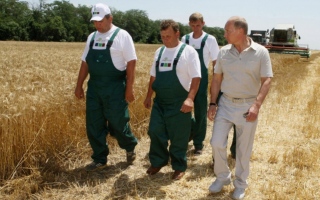 الصورة: الرئيس الروسي: محصول القمح في روسيا العام الجاري قد يبلغ 87 مليون طن