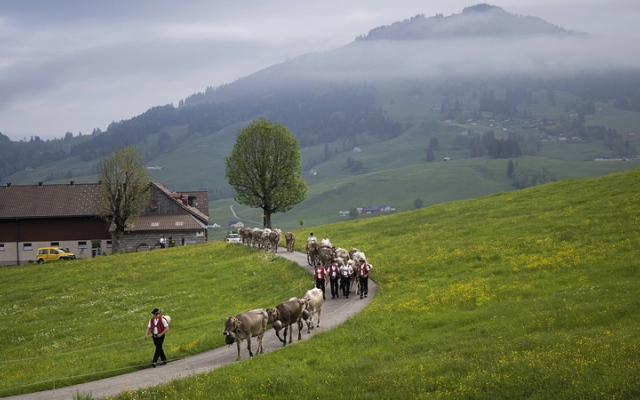 الصورة: سويسرا تسهّل على المسافرين.. بتطبيق «الجولة الكبرى»