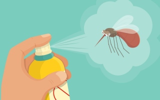 الصورة: 10 إجراءات لمكافحة انتشار البعوض خلال فصل الصيف