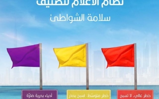 الصورة: 3 أعلام تحذيرية على شواطئ دبي.. تعرف إلى معناها