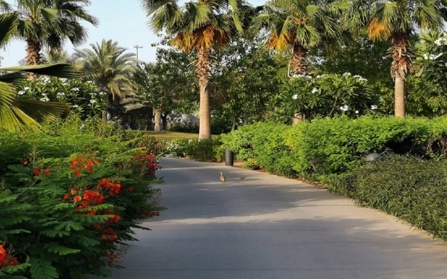 الصورة: حديقة أم الإمارات تطلق مبادرة الجدار الأخضر احتفالاً باليوم العالمي للبيئة