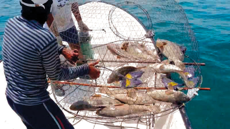 الصيادون طالبوا بدعمهم بمحركات بحرية. أرشيفية