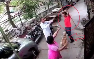 الصورة: بسبب "عضة" كلب.. فيديو لرجل يعتدي بوحشية على جاره ونجله بـ"ماسورة" حديد