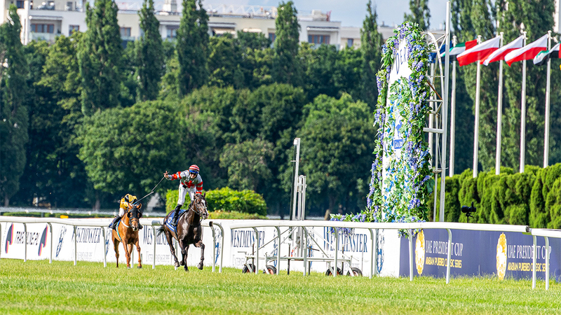 المهر «زينهاف» قبل قطع خط النهاية. من المصدر