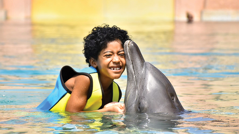 عبدالعزيز سعيداً برفقة دولفين في المنتجع. من المصدر