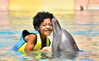 الصورة: الطفل عبدالعزيز يحقق حلمه.. ويسبح مع الدلافين في دبي
