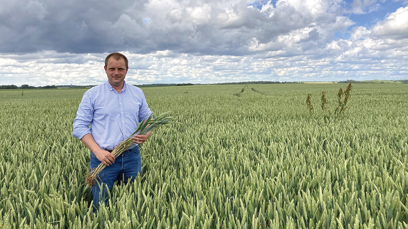 المزارع غيوم لوفورت يعمل على تنويع المحاصيل للتأقلم مع الجفاف. أرشيفية