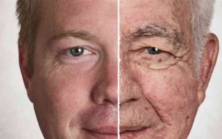 الصورة: بعد 20 عامًا من البحث.. اكتشاف طريقة جديدة لتجديد شباب جلد الإنسان