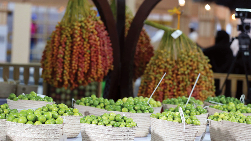 مسابقات المهرجان تتواصل حتى 24 الجاري. من المصدر