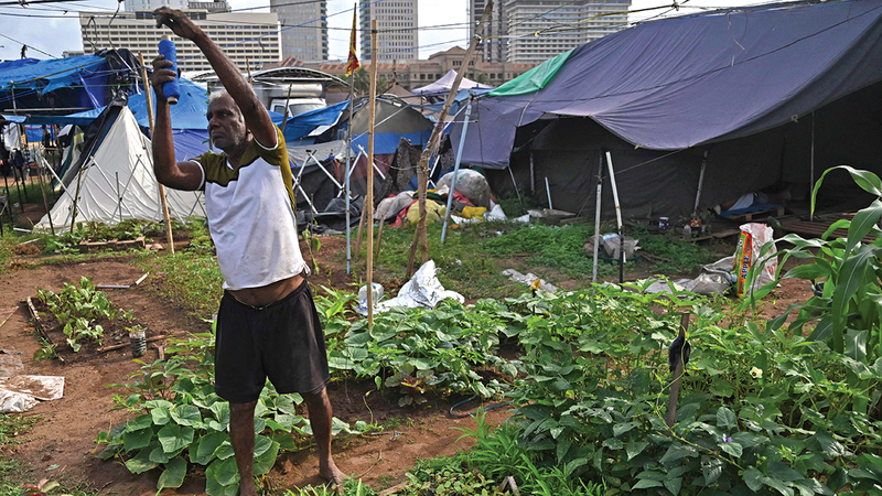 تيودور راجابكسي يعلّم مواطنين كيفية إنتاج الخضراوات سريعة النمو في مساحات ضيقة قرب أماكن سكنهم.  أ.ف.ب