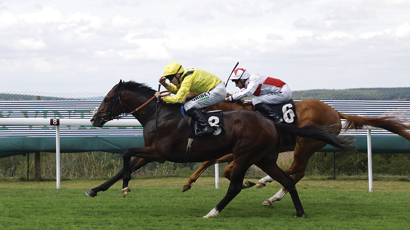 المهر «مربال» ينتزع لقب سباق «فينتاج ستيكس» في أول أيام مهرجان «غلوريوس غودوود». من المصدر