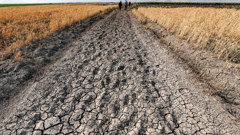 إحدى قنوات الري تشققت تربتها جرّاء انقطاع المياه.  أ.ف.ب