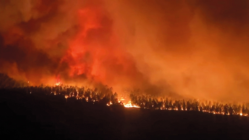 حرائق غابات في جنوب غرب فرنسا.   رويترز