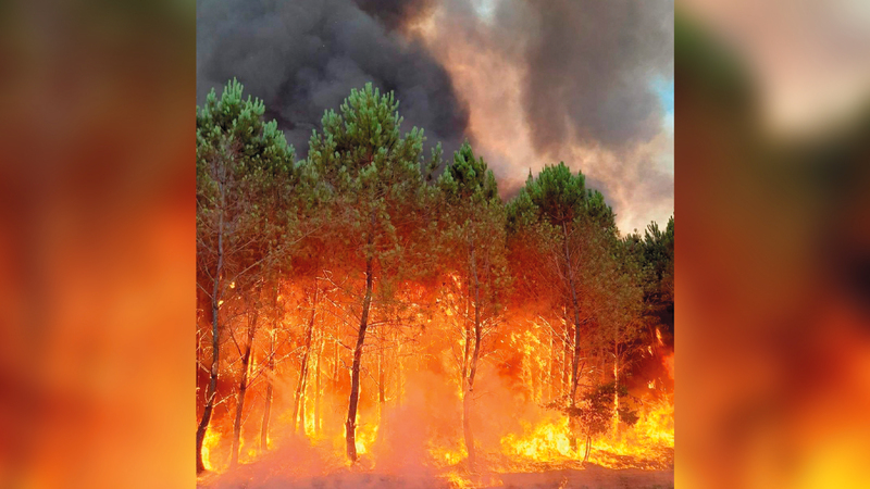 حرائق بمنطقة جيروند بفرنسا.   أ.ب