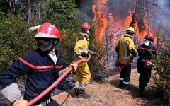 الصورة: أحداث وصور.. الحرائق تأتي على مناطق شاسعة في جنوب غرب فرنسا