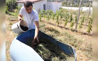 وسط أزمة الأسمدة.. مُزارع ألباني يستخدم تفل القهوة لتغذية أرضه