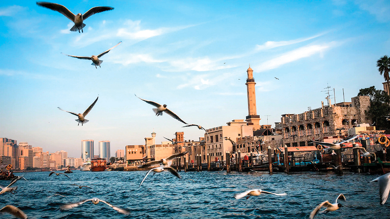 دولة الإمارات رسمت خلال نصف قرن مشهداً ثقافياً منسجماً مع رسالتها الإنسانية المبنية على المزج بين الأصالة والحداثة.     أرشيفية