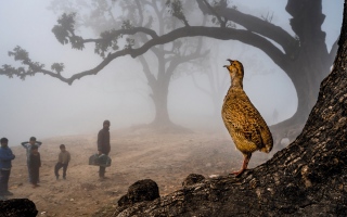 الصورة: زووم.. على العالم