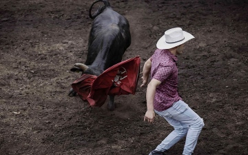 الصورة: قصة مصورة.. &laquo;أنا أو الثور&raquo;.. منافسات دامية قبل موسم الرعي