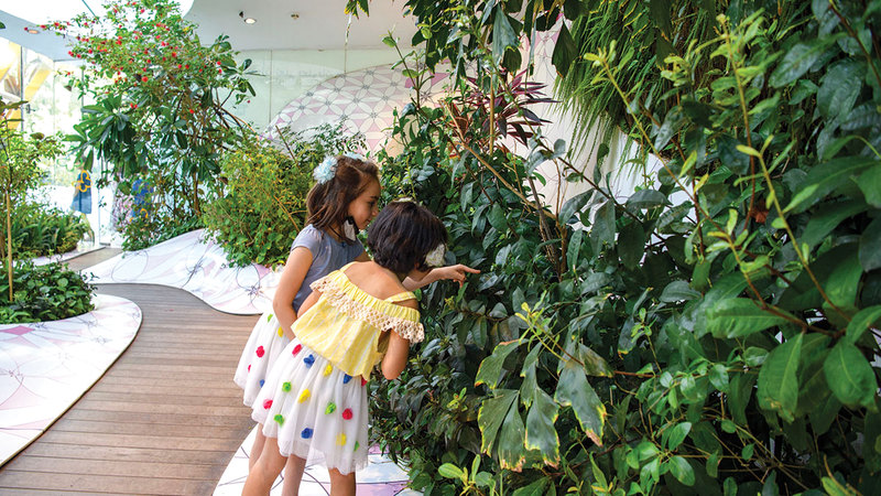 تصوير: أشوك فيرما