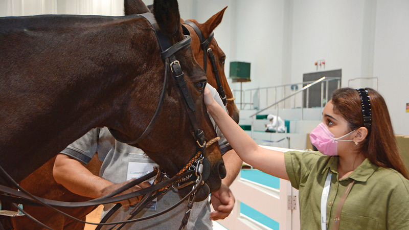 105 آلاف زائر من 120 جنسية في الدورة الماضية.