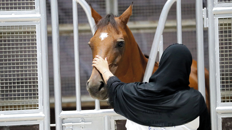 150 نشاطاً حيّاً وورشة عمل تنتظر زوار المعرض في ساحة العروض.   من المصدر