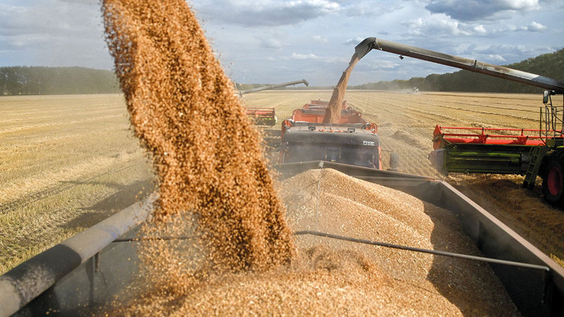 ارتفاع أسعار الحبوب أسهم في زيادة معدلات التضخم لدى عدد كبير من الدول. رويترز