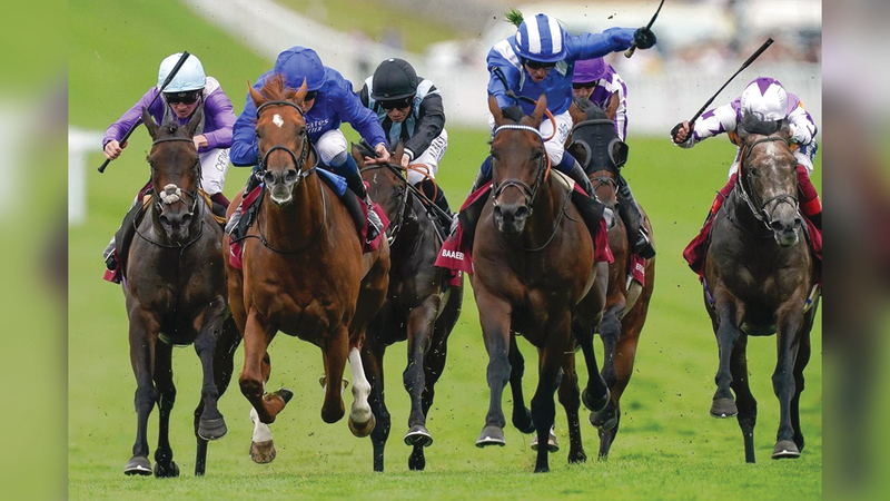 من انتصارات «بعيد» بشعار «شادويل» في سباقات «الفئة الأولى» للموسم الحالي البريطاني. من المصدر