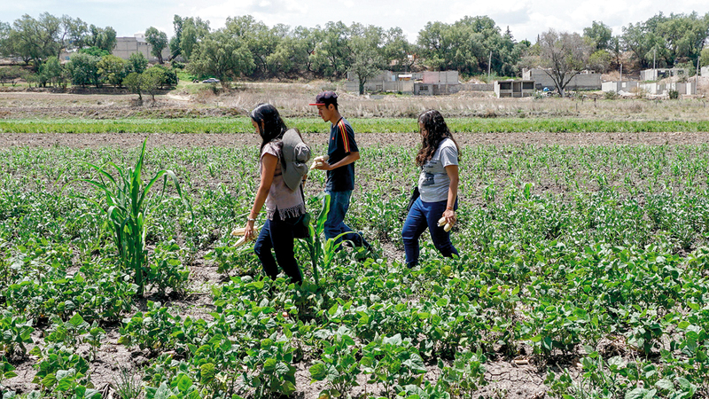 السكان الأصليون بحثوا عن الحلول الفردية لتخفيف أثار شح المياه. من المصدر