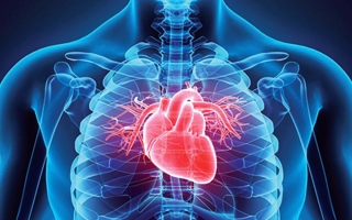 الصورة: «صحة دبي»: أمراض القلب تتصدر أسباب الوفاة بنسبة 41 %